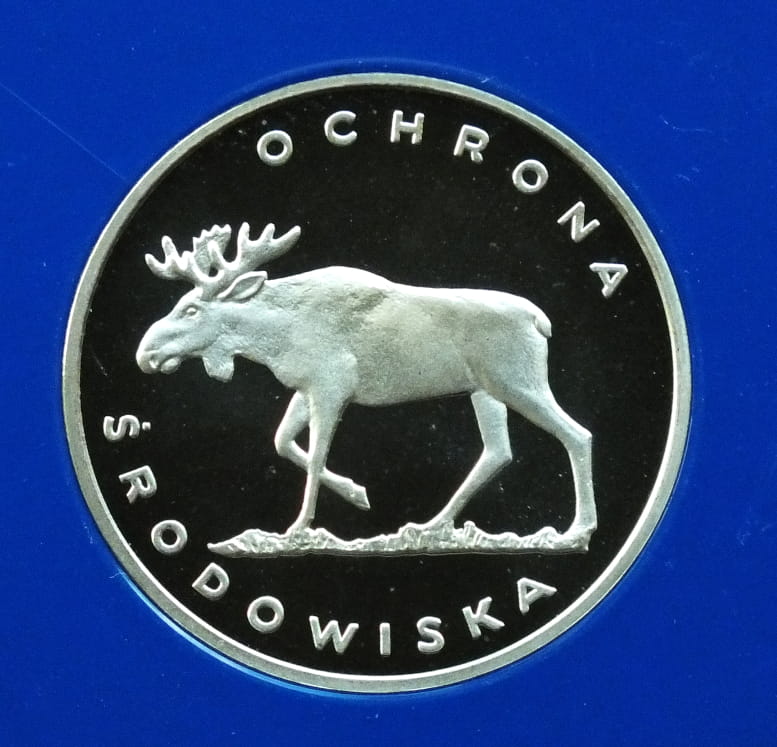 100 zł Łoś
