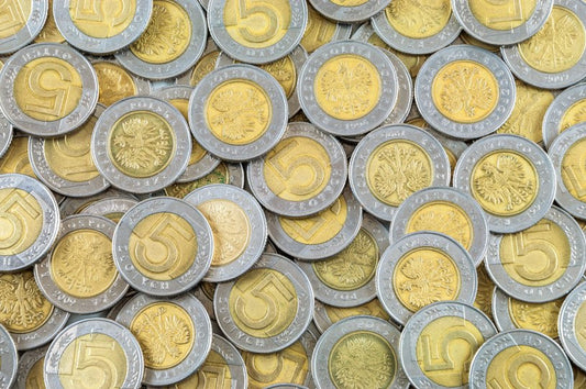 Moneta 5 złotych – Uniwersalny i niezawodny pomocnik w Twoim domu