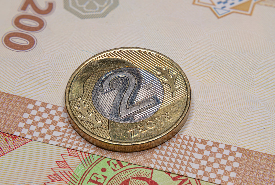 Ile warte są monety 2 zł? Sprawdź, czy masz w domu cenny bilon