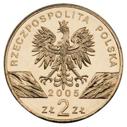 2 zł Puchacz (łac. Bubo bubo)