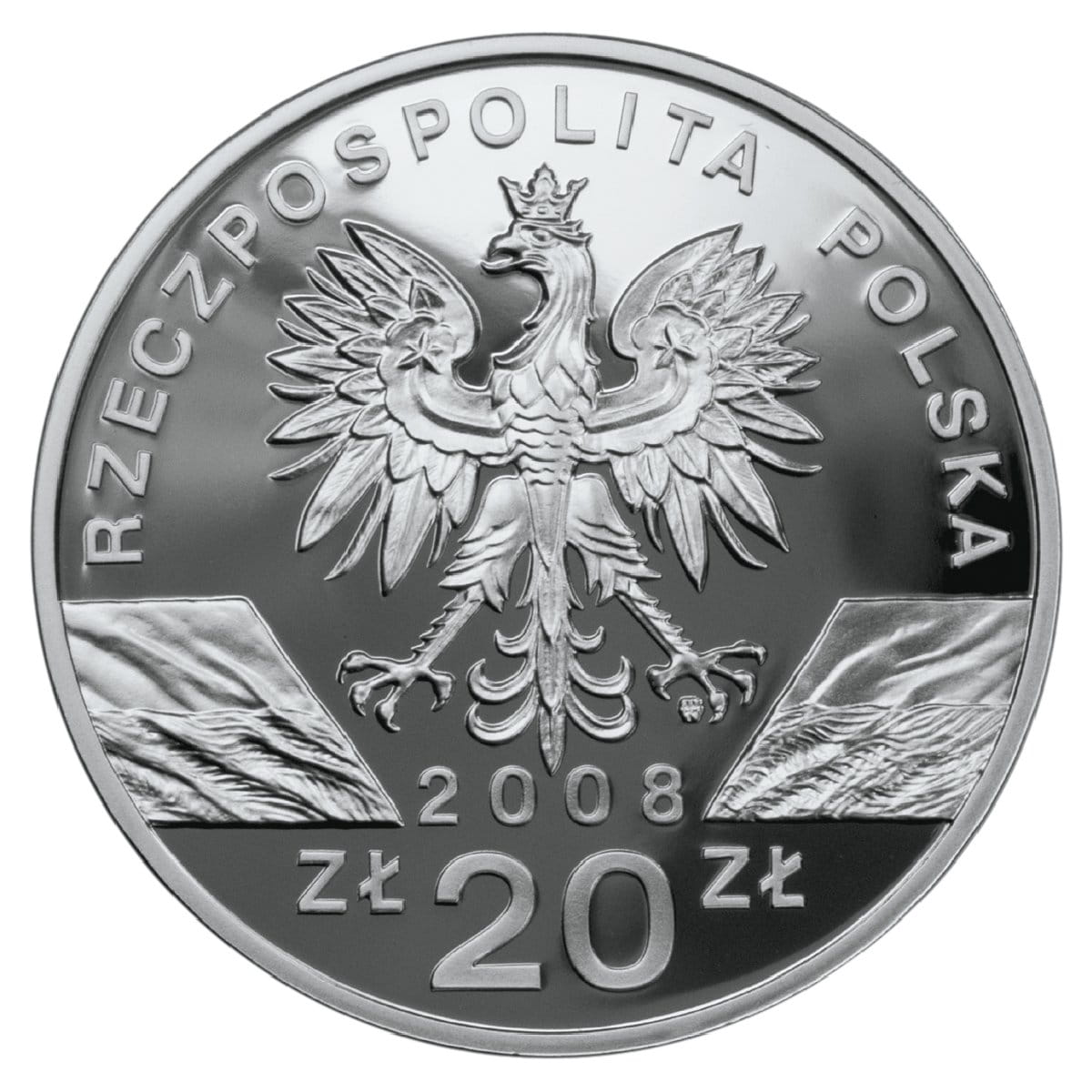 20 zł Sokół wędrowny (łac. Falco peregrinus)