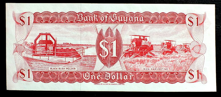 1 Dolar  - Gujana