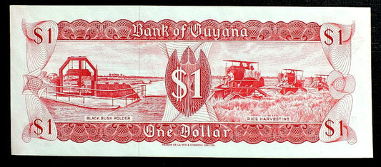 1 Dolar  - Gujana