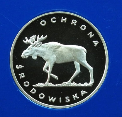 100 zł Łoś